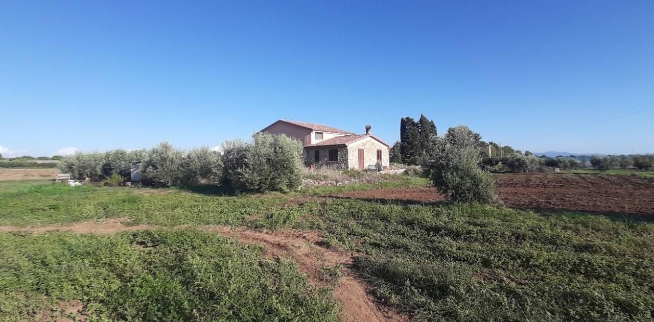 immagine annuncio 12 di 14