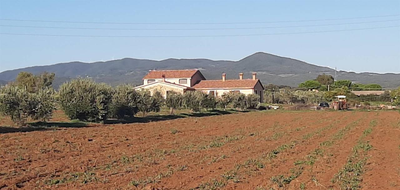 immagine annuncio 11 di 14