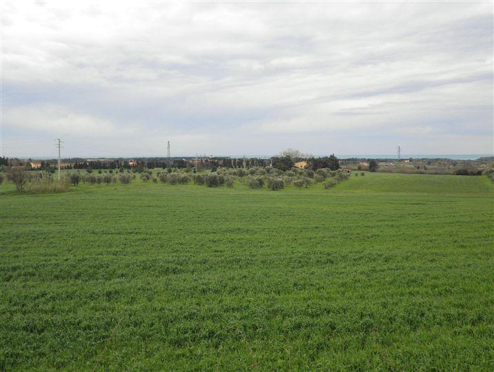 immagine annuncio 9 di 12