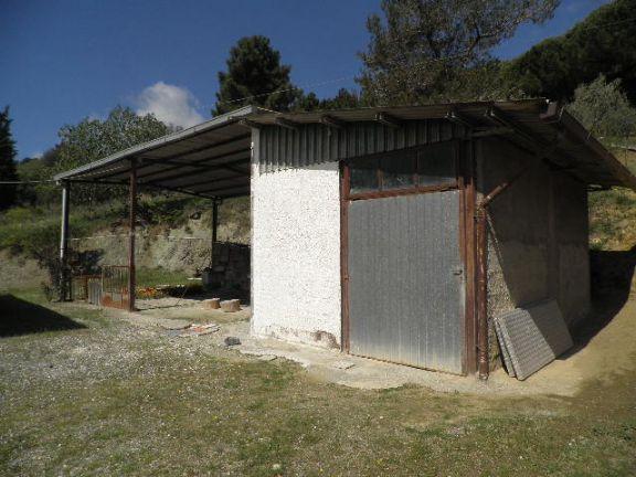 immagine annuncio 1 di 11