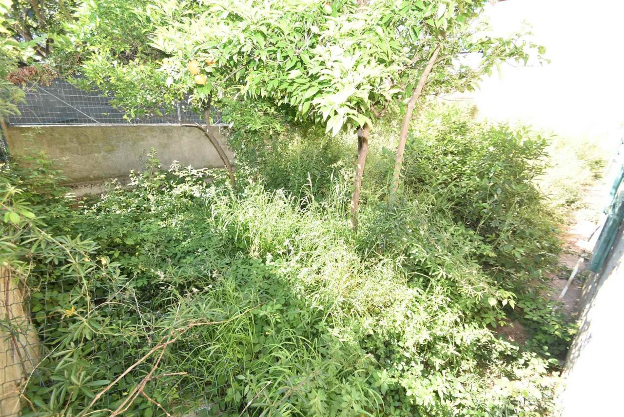 immagine annuncio 4 di 9