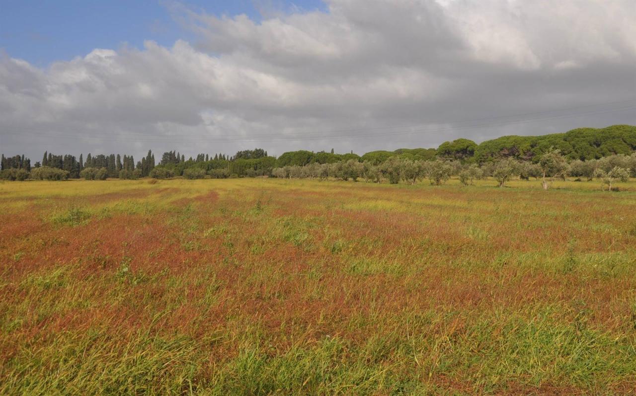 immagine annuncio 4 di 11