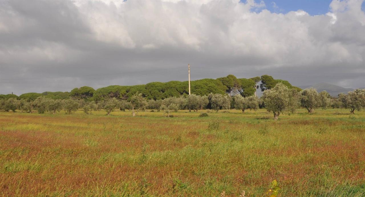 immagine annuncio 3 di 11