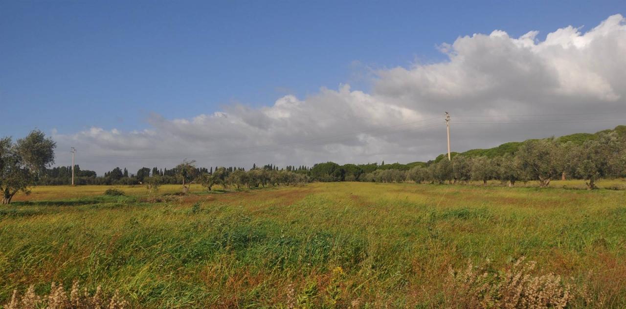 immagine annuncio 7 di 11