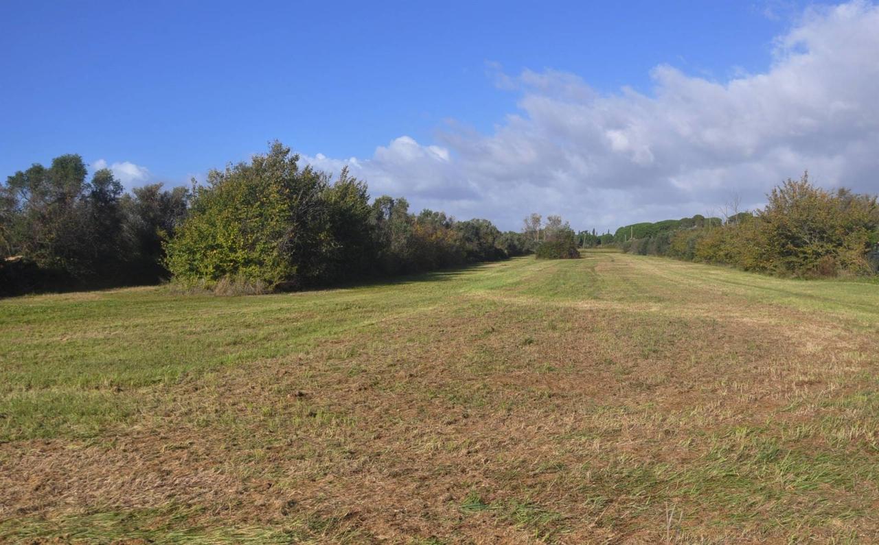 immagine annuncio 6 di 11