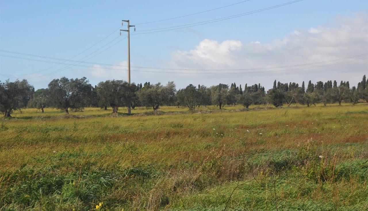 immagine annuncio 8 di 11