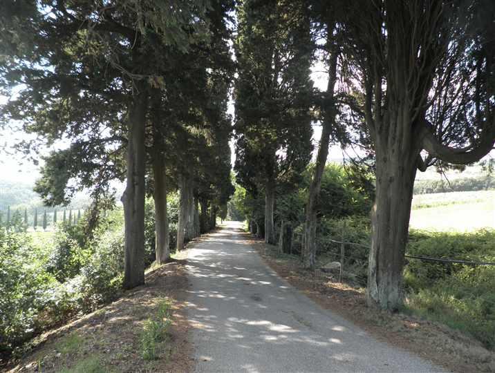 immagine annuncio 4 di 6