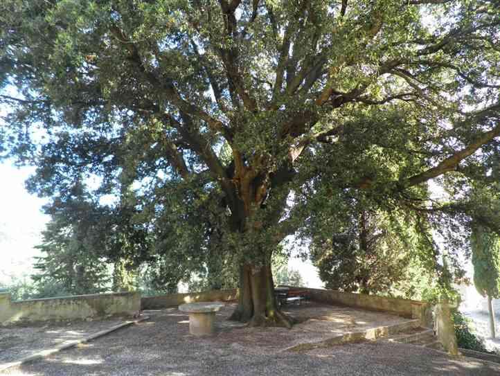 immagine annuncio 3 di 6