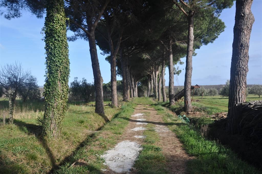 immagine annuncio 8 di 14