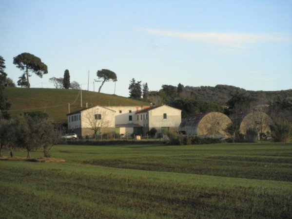 Azienda agricola in , Rosignano Marittimo - Foto 1