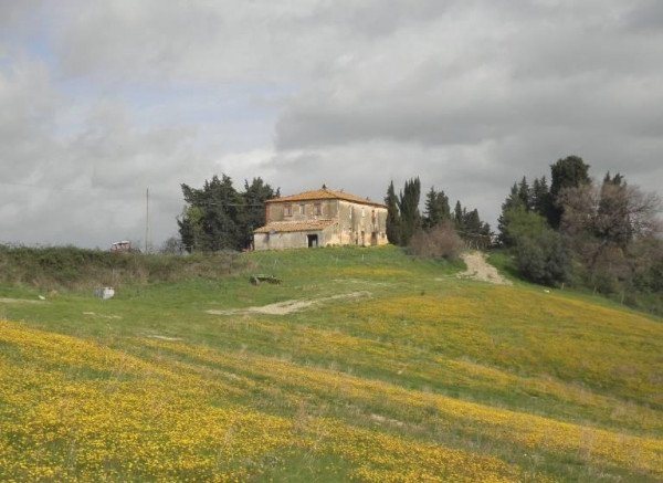 Azienda agricola in , Pomarance - Foto 1