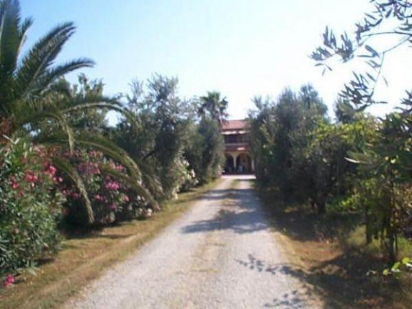 Azienda agricola in , Bibbona - Foto 1
