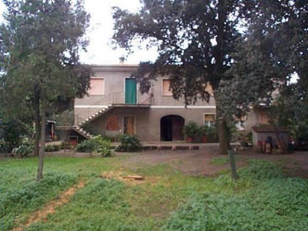 Azienda agricola in , Castagneto Carducci - Foto 1