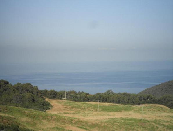 Azienda agricola in Strada Provinciale 11, Rosignano Marittimo - Foto 1
