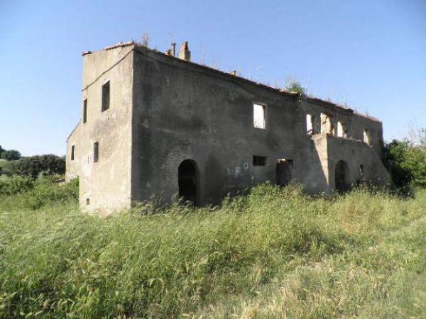 Azienda agricola in , Rosignano Marittimo - Foto 1