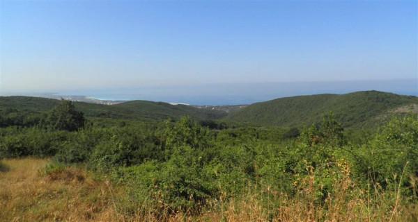 Azienda agricola in Via delle Spianate, Rosignano Marittimo - Foto 1