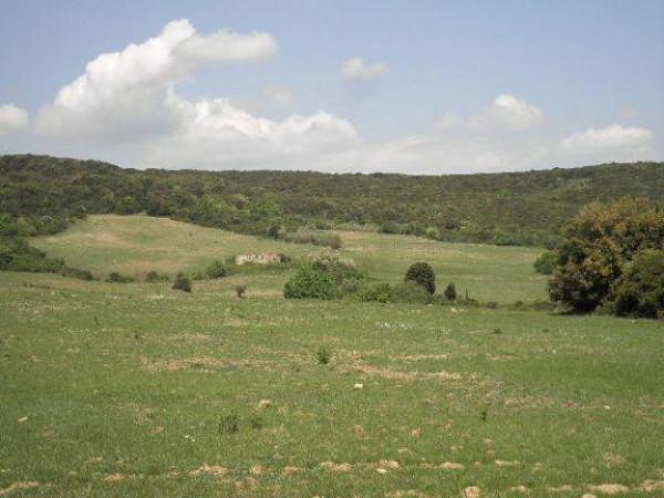 Azienda agricola in , Rosignano Marittimo - Foto 1