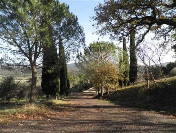 Azienda agricola in , Pomarance - Foto 1