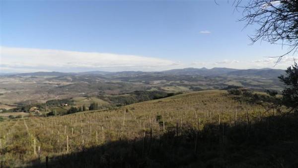 Azienda agricola in , Volterra - Foto 1