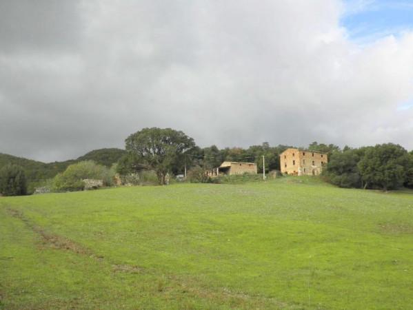 Azienda agricola in , Riparbella - Foto 1