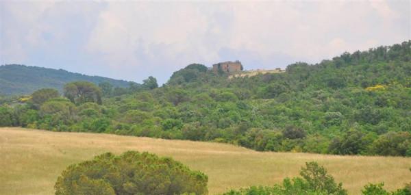 Azienda agricola in , Volterra - Foto 1