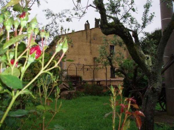Azienda agricola in , Massa Marittima - Foto 1