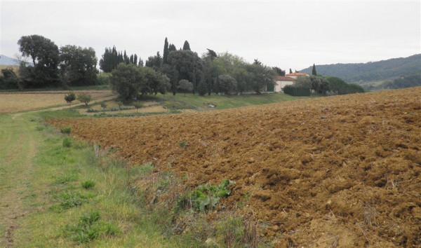 Palazzina commerciale in vendita a Rosignano Marittimo