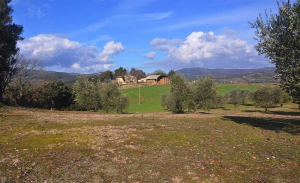 Azienda agricola in Strada Val di Lopia, Riparbella - Foto 1