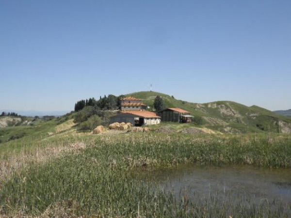Azienda agricola in Strada Regionale 439, Volterra - Foto 1