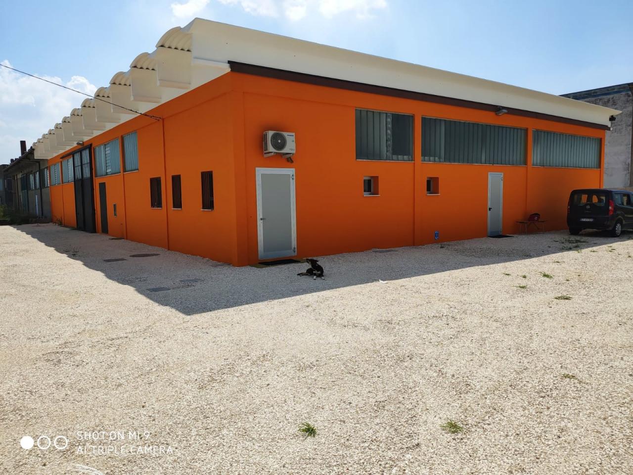 Capannone in Via Nogarole, Casale Di Scodosia, {3} - Foto 1