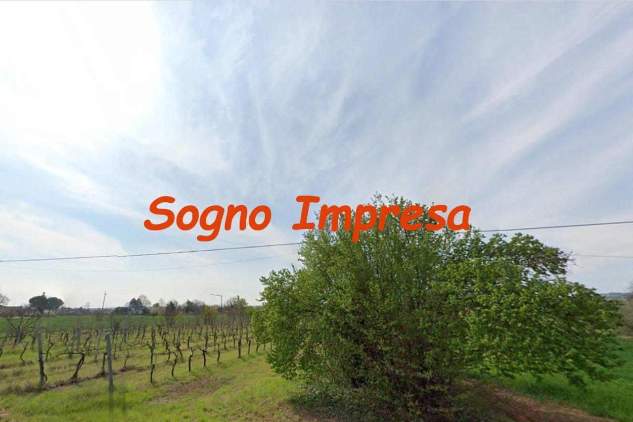 immagine annuncio 1 di 3