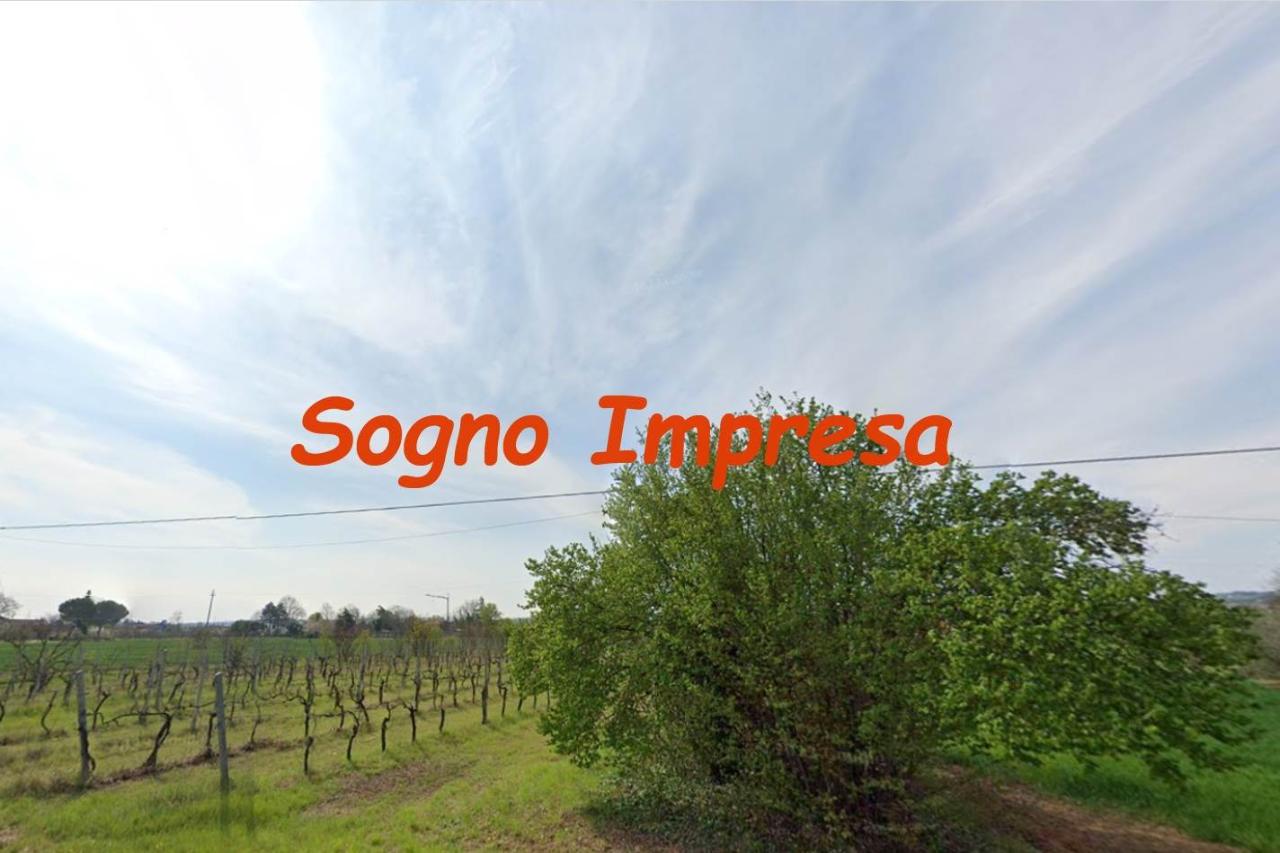 immagine annuncio 1 di 3
