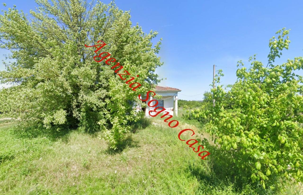 immagine annuncio 1 di 4