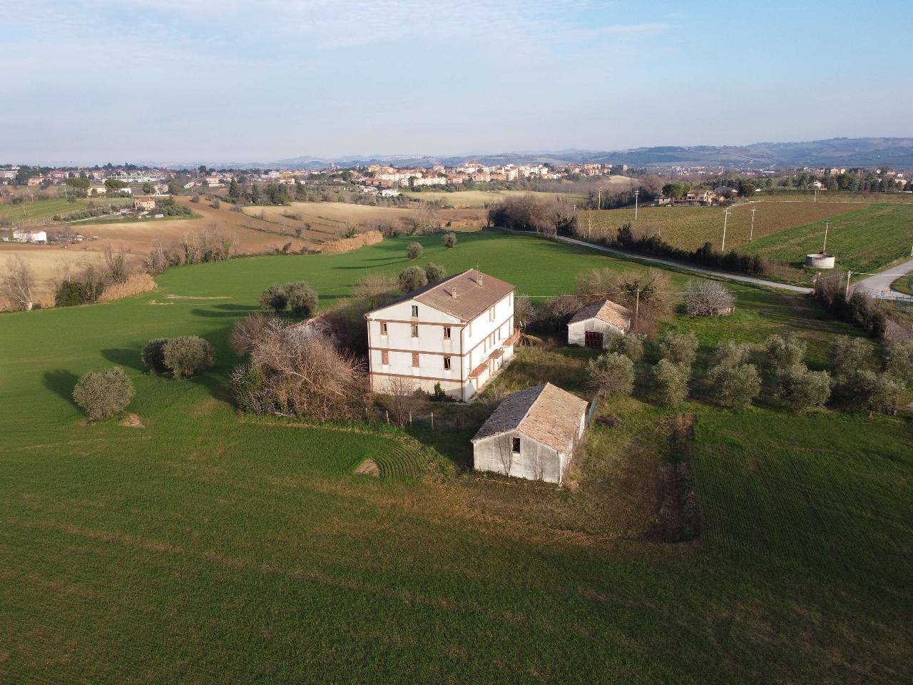 immagine annuncio 6 di 12