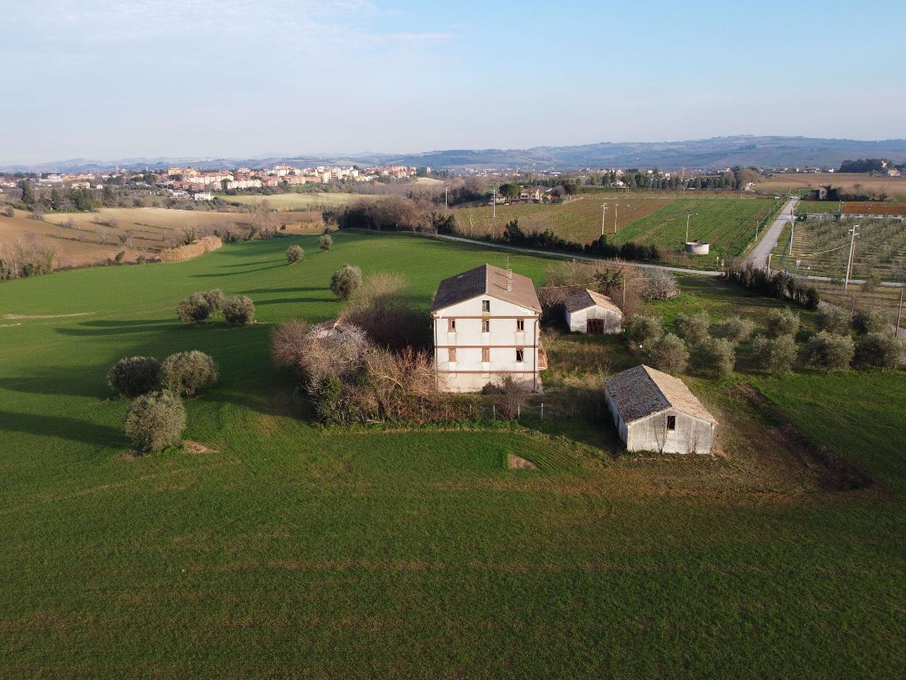 immagine annuncio 11 di 12