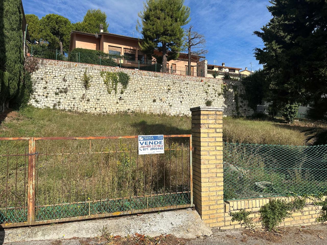 immagine annuncio 10 di 13