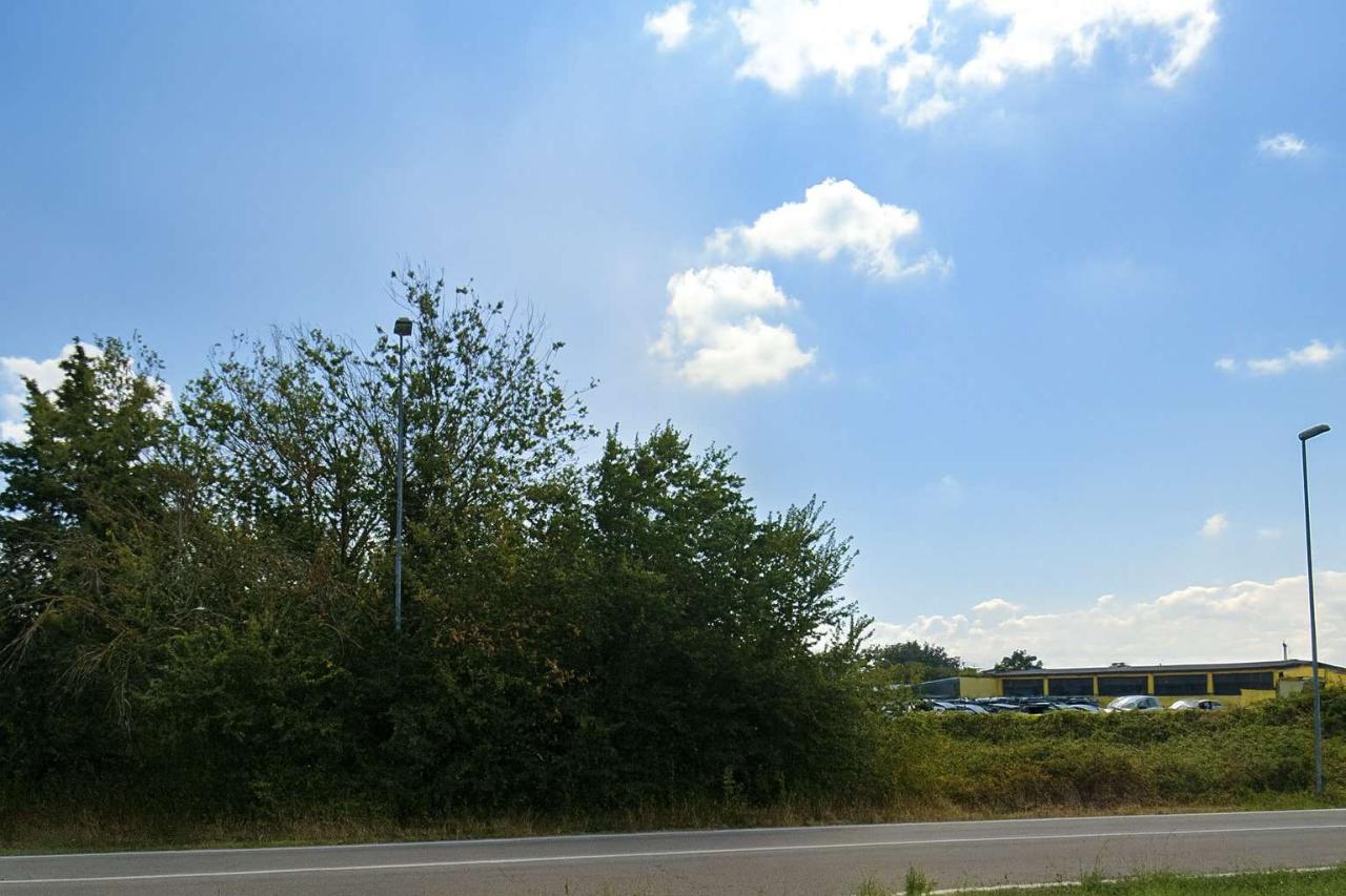 immagine annuncio 2 di 6