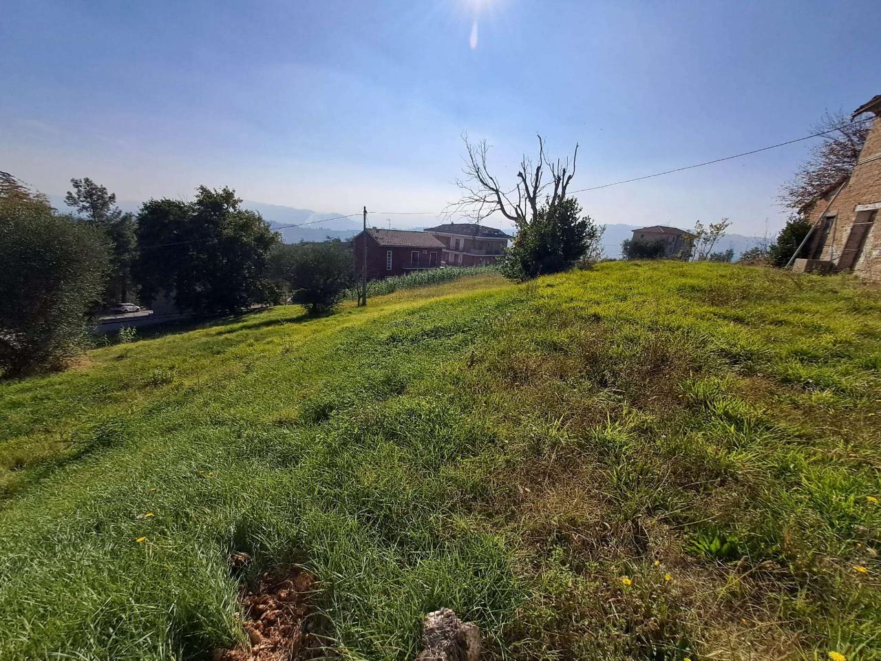 immagine annuncio 9 di 13