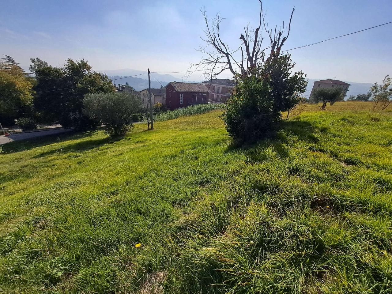 immagine annuncio 10 di 13