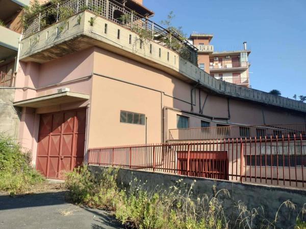 Tempo libero in Via Etnea 26, Carlentini, {3} - Foto 1