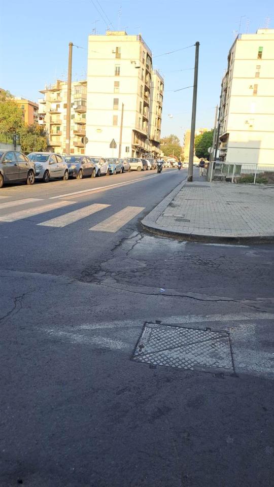 immagine annuncio 10 di 14