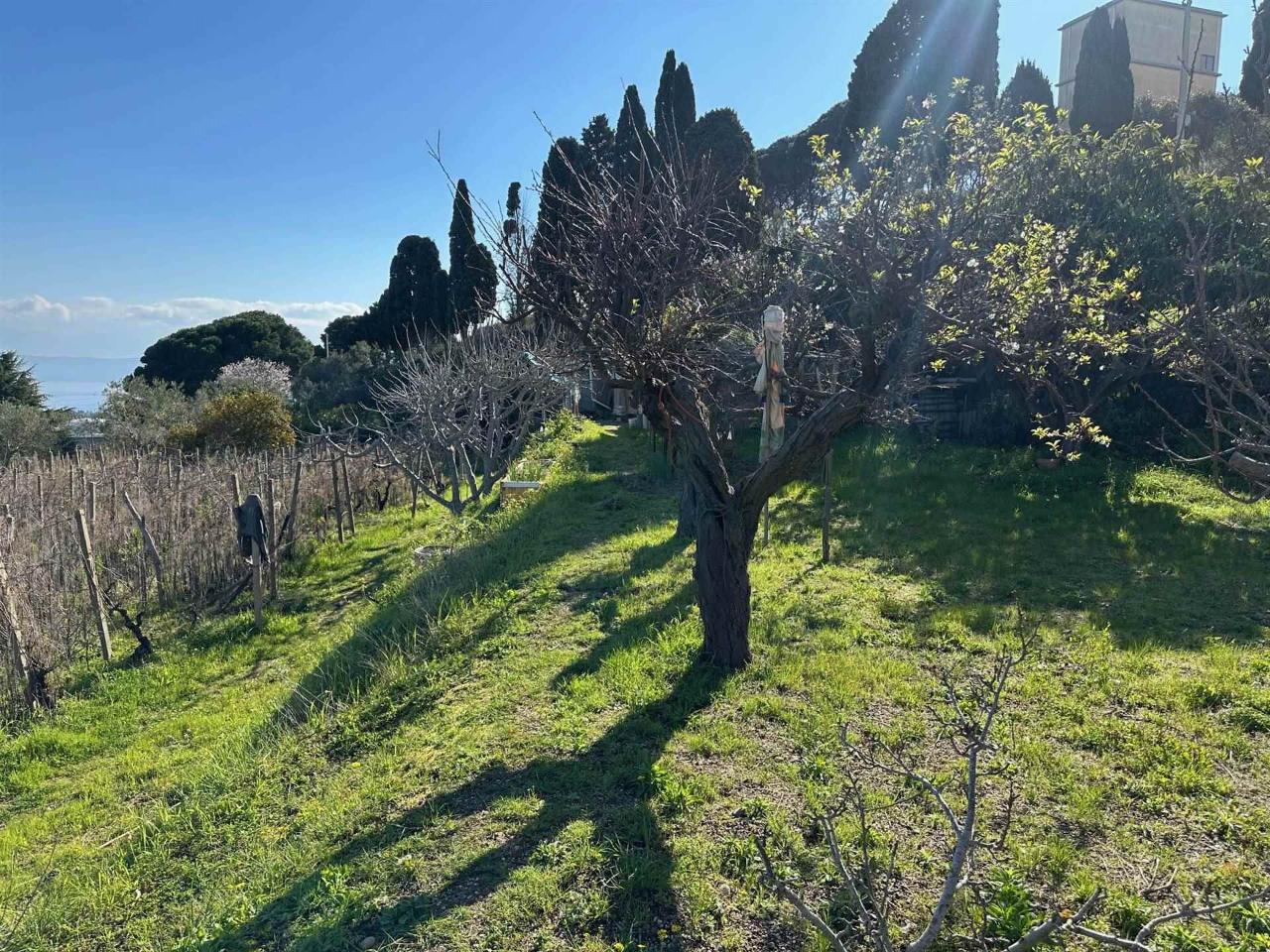 immagine annuncio 8 di 12