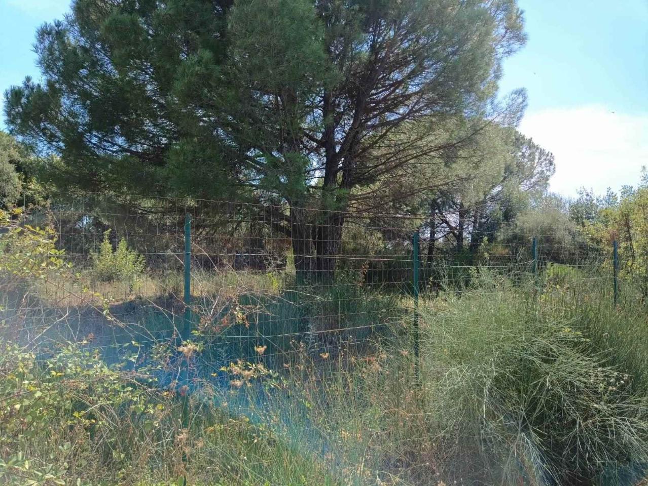 immagine annuncio 11 di 13