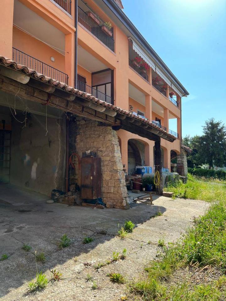 immagine annuncio 3 di 12