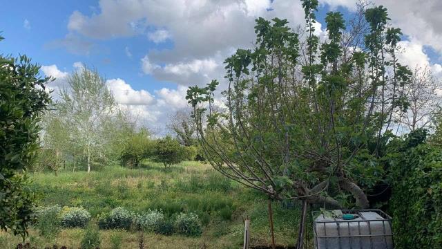 Building land in Via Sassari , Marcianise - Photo 1