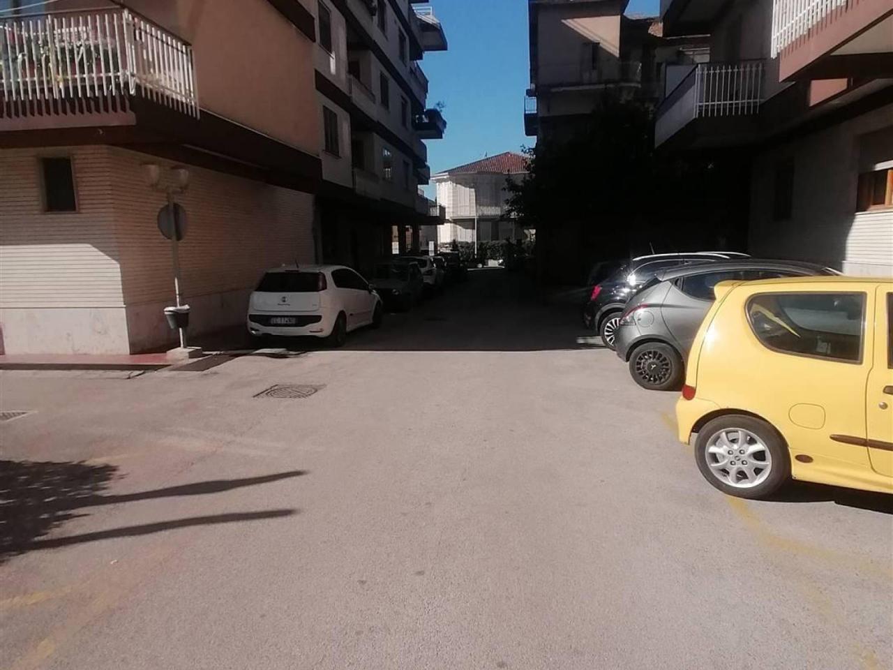immagine annuncio 2 di 14