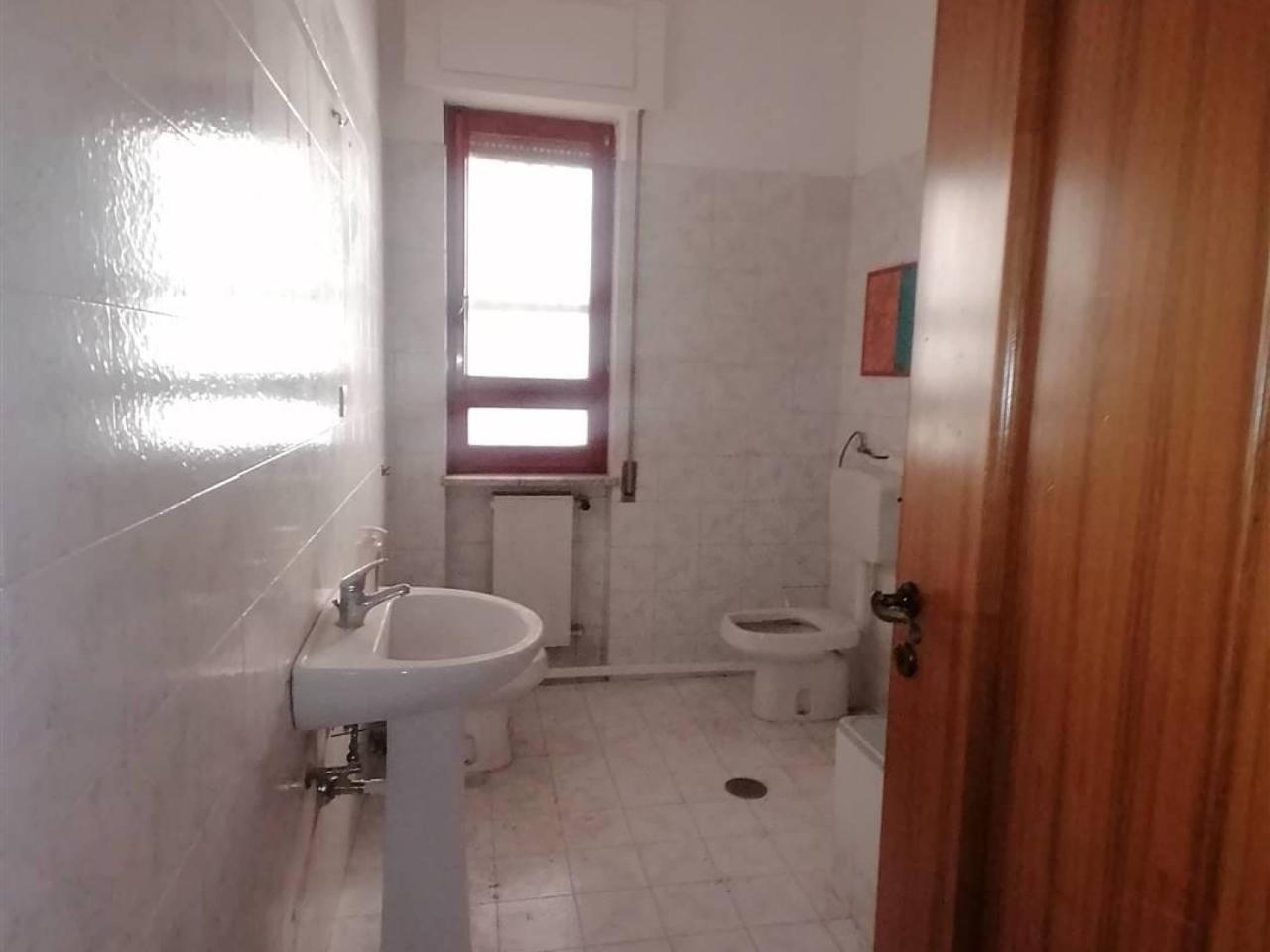 immagine annuncio 12 di 14