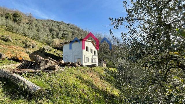 Landhaus in Valdottavo, Borgo a Mozzano - Foto 1