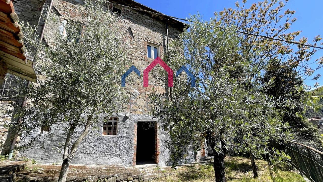 Casa indipendente in vendita a Borgo A Mozzano