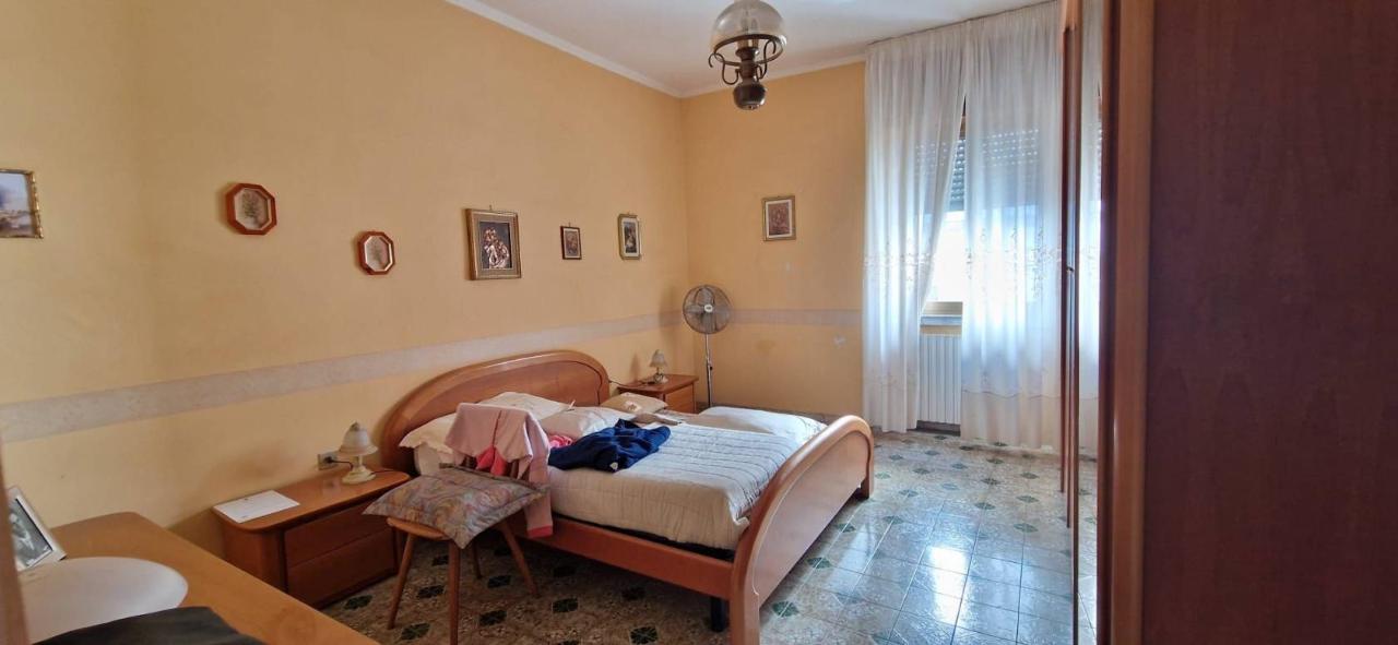 immagine annuncio 9 di 14